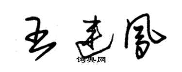 朱錫榮王連鳳草書個性簽名怎么寫