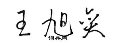 駱恆光王旭奕草書個性簽名怎么寫