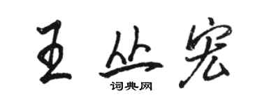 駱恆光王叢宏行書個性簽名怎么寫