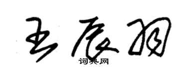 朱錫榮王辰羽草書個性簽名怎么寫