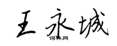 王正良王永城行書個性簽名怎么寫