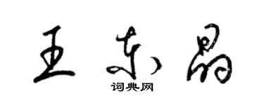 梁錦英王東晶草書個性簽名怎么寫