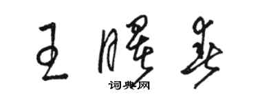 駱恆光王曙春草書個性簽名怎么寫