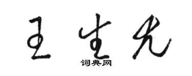 駱恆光王生尤草書個性簽名怎么寫