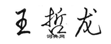 駱恆光王哲龍行書個性簽名怎么寫