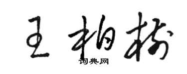 駱恆光王柏樹草書個性簽名怎么寫