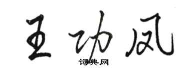 駱恆光王功鳳行書個性簽名怎么寫