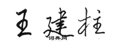 駱恆光王建柱行書個性簽名怎么寫