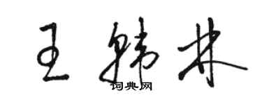 駱恆光王韓林草書個性簽名怎么寫