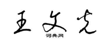 梁錦英王文光草書個性簽名怎么寫