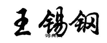 胡問遂王錫鋼行書個性簽名怎么寫