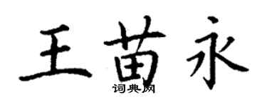 丁謙王苗永楷書個性簽名怎么寫