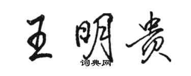駱恆光王明貴行書個性簽名怎么寫