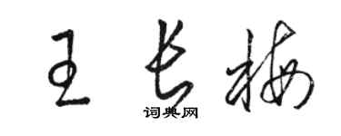 駱恆光王長梅草書個性簽名怎么寫