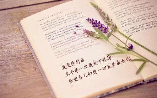 八月十五祝福簡訊