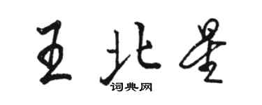 駱恆光王北星行書個性簽名怎么寫
