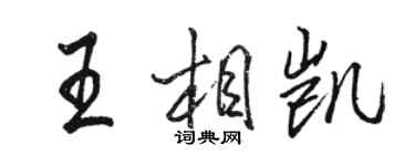 駱恆光王相凱行書個性簽名怎么寫