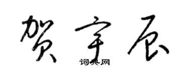 梁錦英賀宇辰草書個性簽名怎么寫