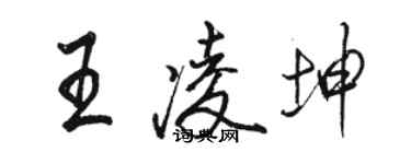 駱恆光王凌坤行書個性簽名怎么寫
