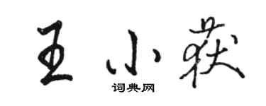 駱恆光王小獲行書個性簽名怎么寫