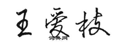 駱恆光王愛枝行書個性簽名怎么寫