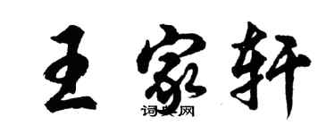 胡問遂王家軒行書個性簽名怎么寫