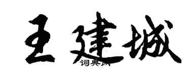 胡問遂王建城行書個性簽名怎么寫