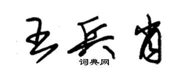 朱錫榮王兵肖草書個性簽名怎么寫