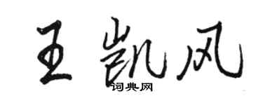 駱恆光王凱風行書個性簽名怎么寫