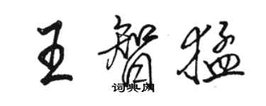 駱恆光王智猛行書個性簽名怎么寫