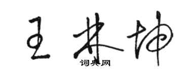 駱恆光王林坤草書個性簽名怎么寫