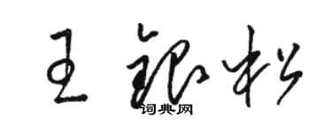 駱恆光王銀松草書個性簽名怎么寫