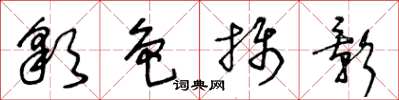 王冬齡彩色攝影草書怎么寫
