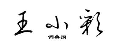 梁錦英王小彩草書個性簽名怎么寫