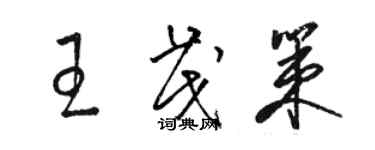 駱恆光王茂策草書個性簽名怎么寫