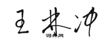 駱恆光王林沖草書個性簽名怎么寫