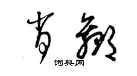 曾慶福肖贏草書個性簽名怎么寫