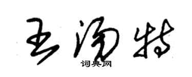 朱錫榮王湯特草書個性簽名怎么寫