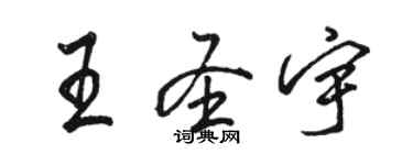 駱恆光王聖宇行書個性簽名怎么寫