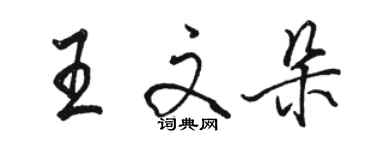 駱恆光王文朵行書個性簽名怎么寫