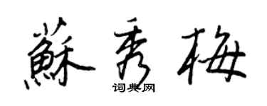 王正良蘇秀梅行書個性簽名怎么寫