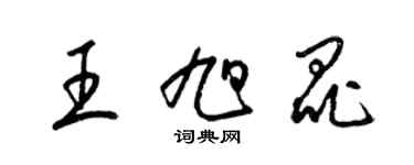 梁錦英王旭昆草書個性簽名怎么寫