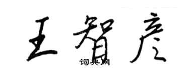 王正良王智彥行書個性簽名怎么寫
