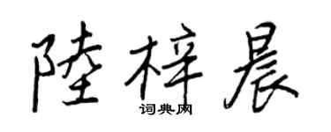 王正良陸梓晨行書個性簽名怎么寫