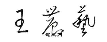 駱恆光王農藝草書個性簽名怎么寫