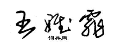 朱錫榮王雅霏草書個性簽名怎么寫