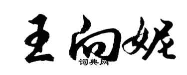 胡問遂王向妮行書個性簽名怎么寫