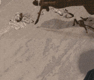 啟功先生書法動態運筆圖