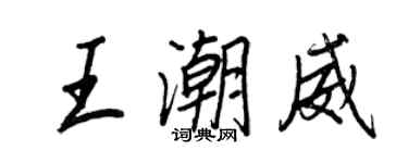 王正良王潮威行書個性簽名怎么寫