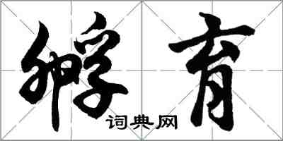 胡問遂孵育行書怎么寫